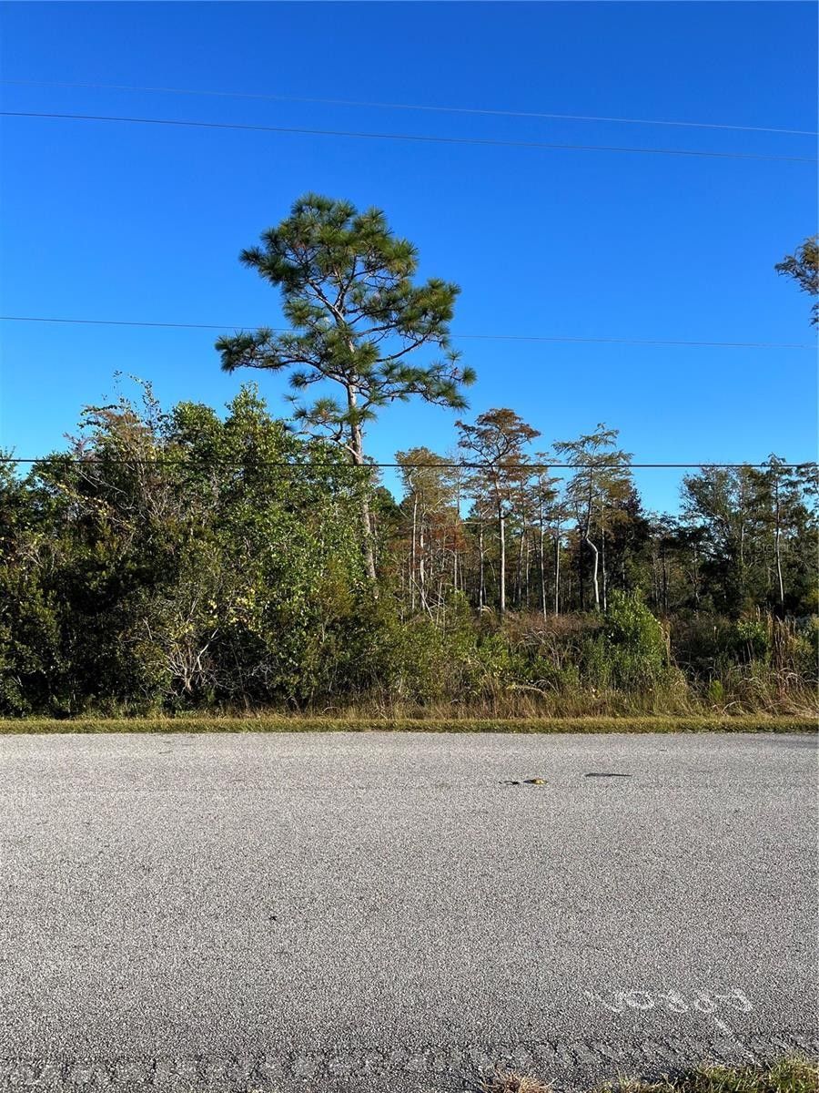 1.24 acres in Orange County, Florida