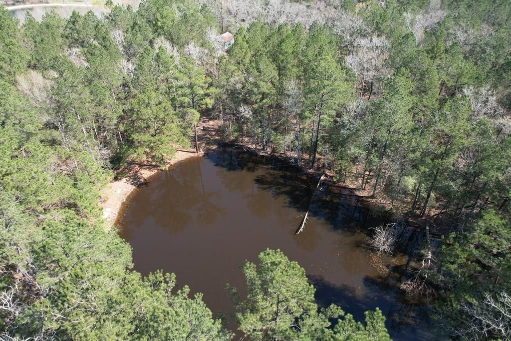 80 acres in Trinity County, Texas