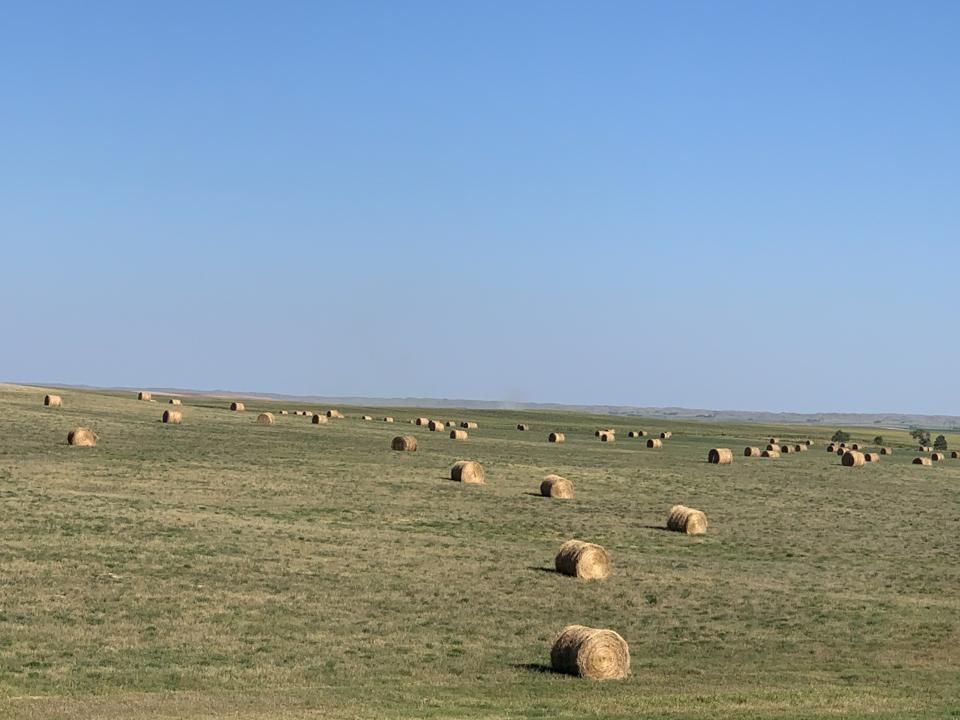 160 acres in Oglala Lakota County, South Dakota