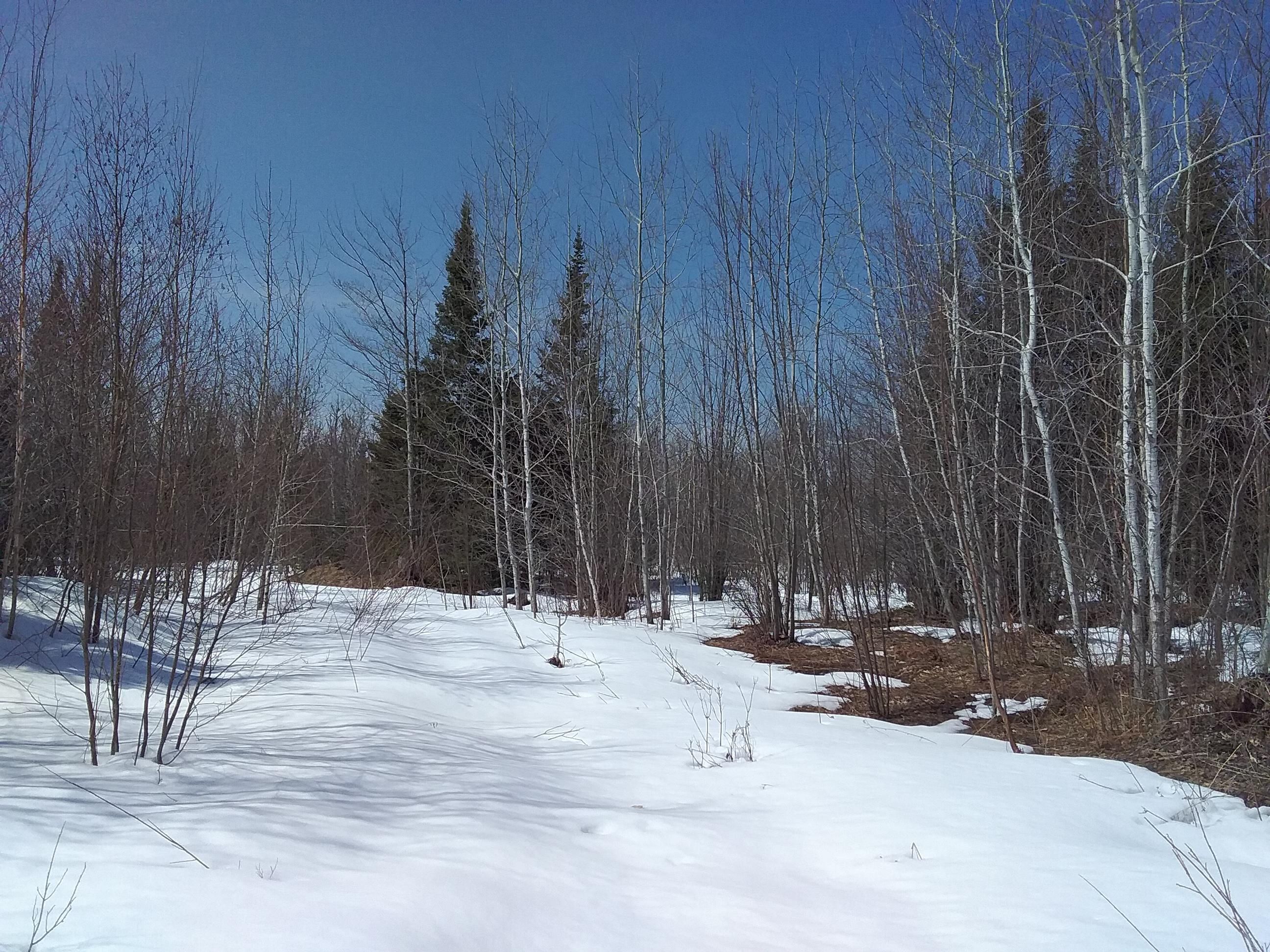 80 acres V25 Road, Trenary, MI 49891 MLS 50109148