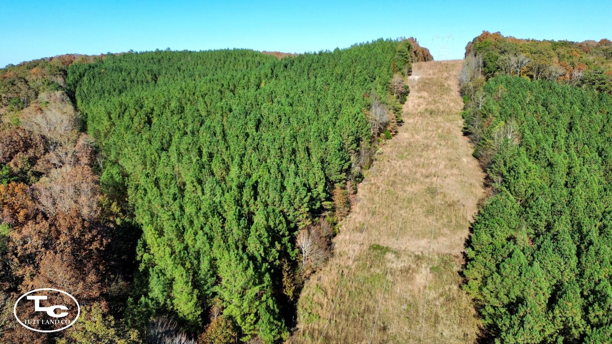 69 acres in Colbert County, Alabama