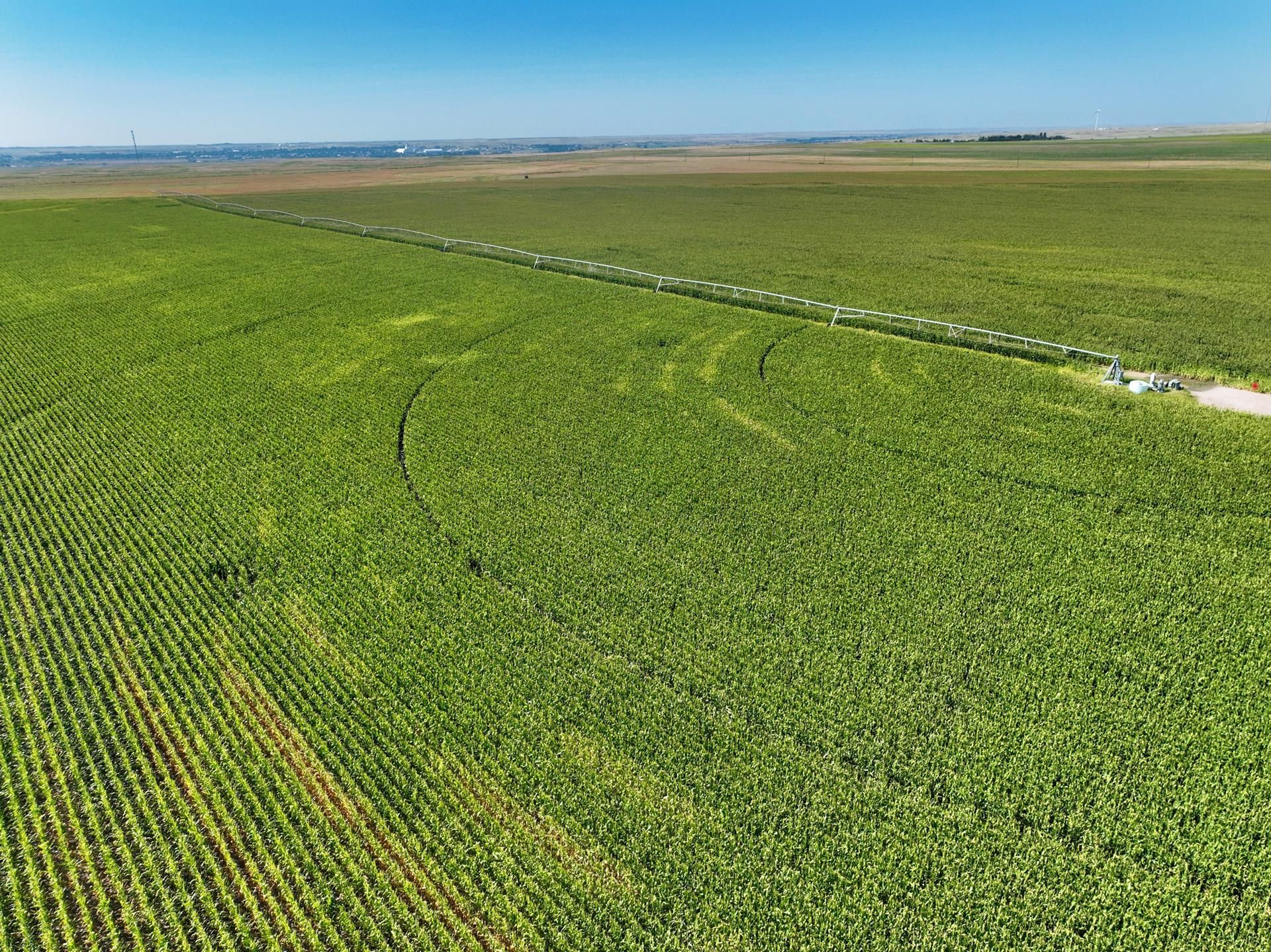 649 acres in Kimball County, Nebraska