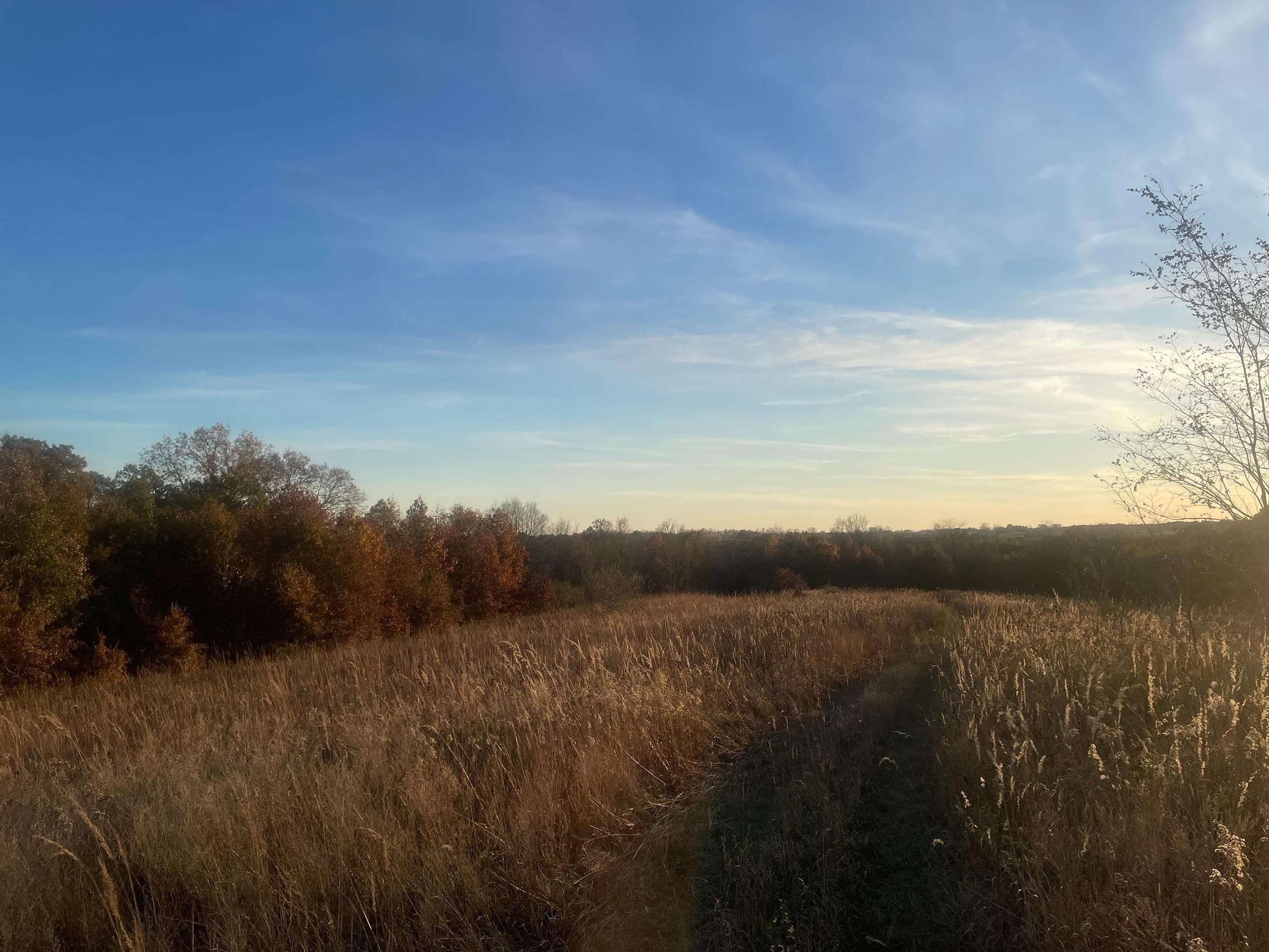 66 acres in Van Buren County, Iowa