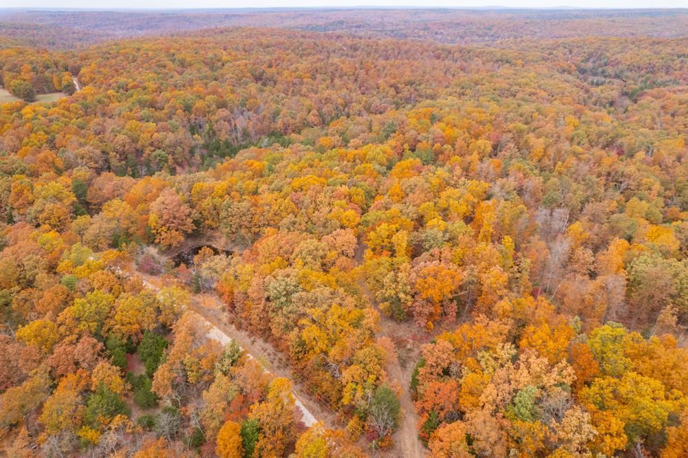 0000 Carr Field Lane, Belgrade, MO 63622 MLS Washington 40