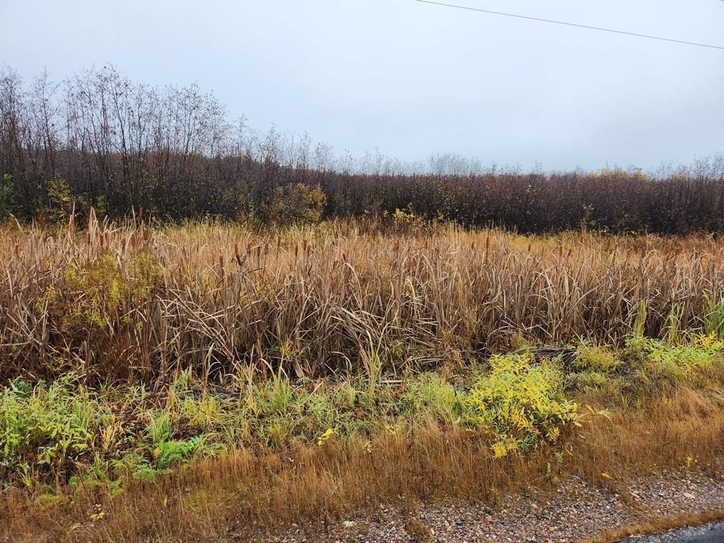 40 acres in Price County, Wisconsin