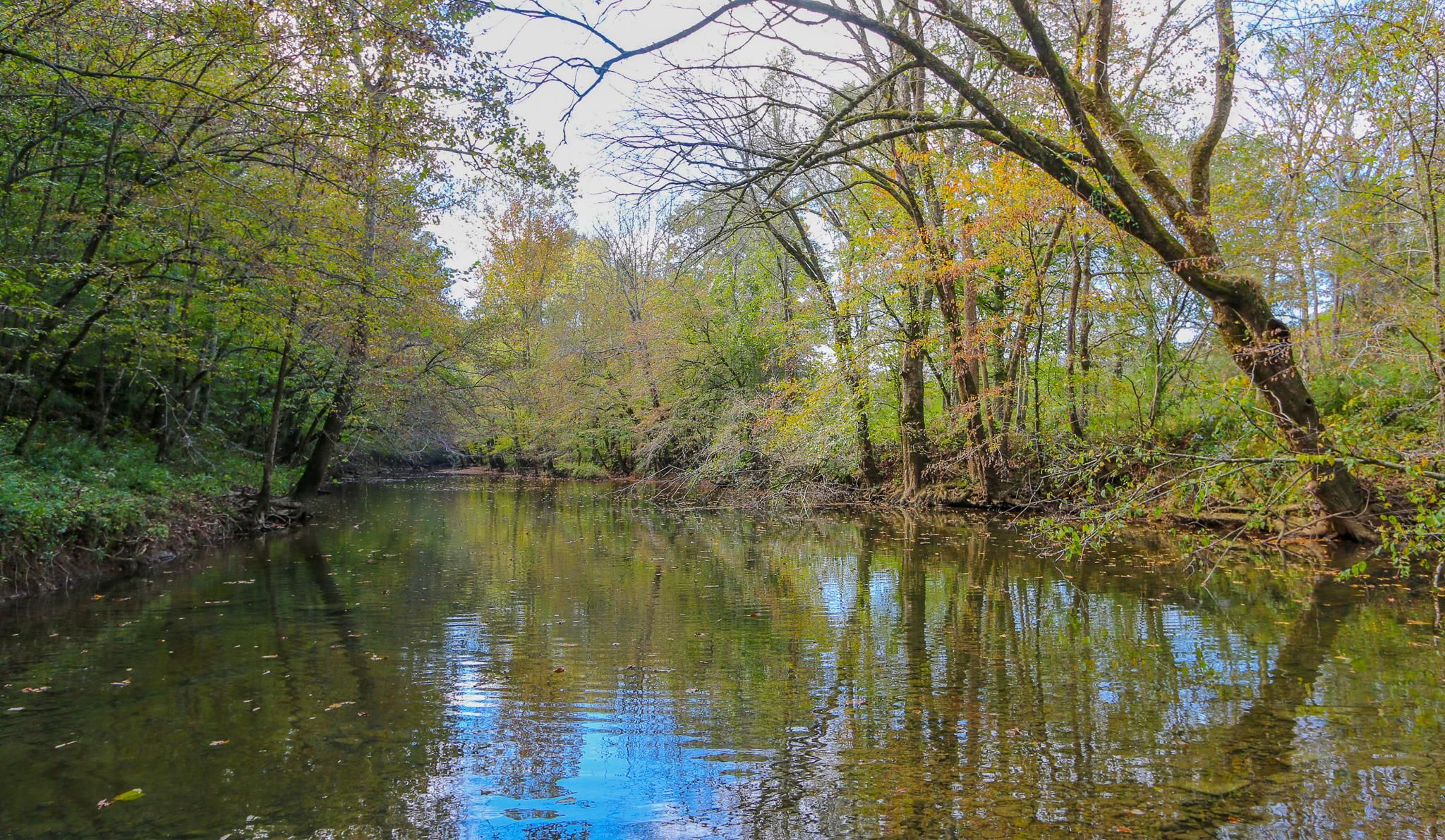 Shiloh Rd, Crawford, TN 38554