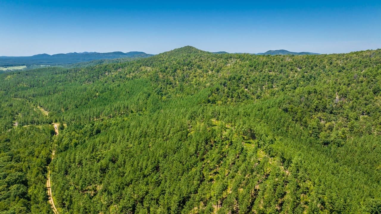 163.85 acres in Pike County, Arkansas