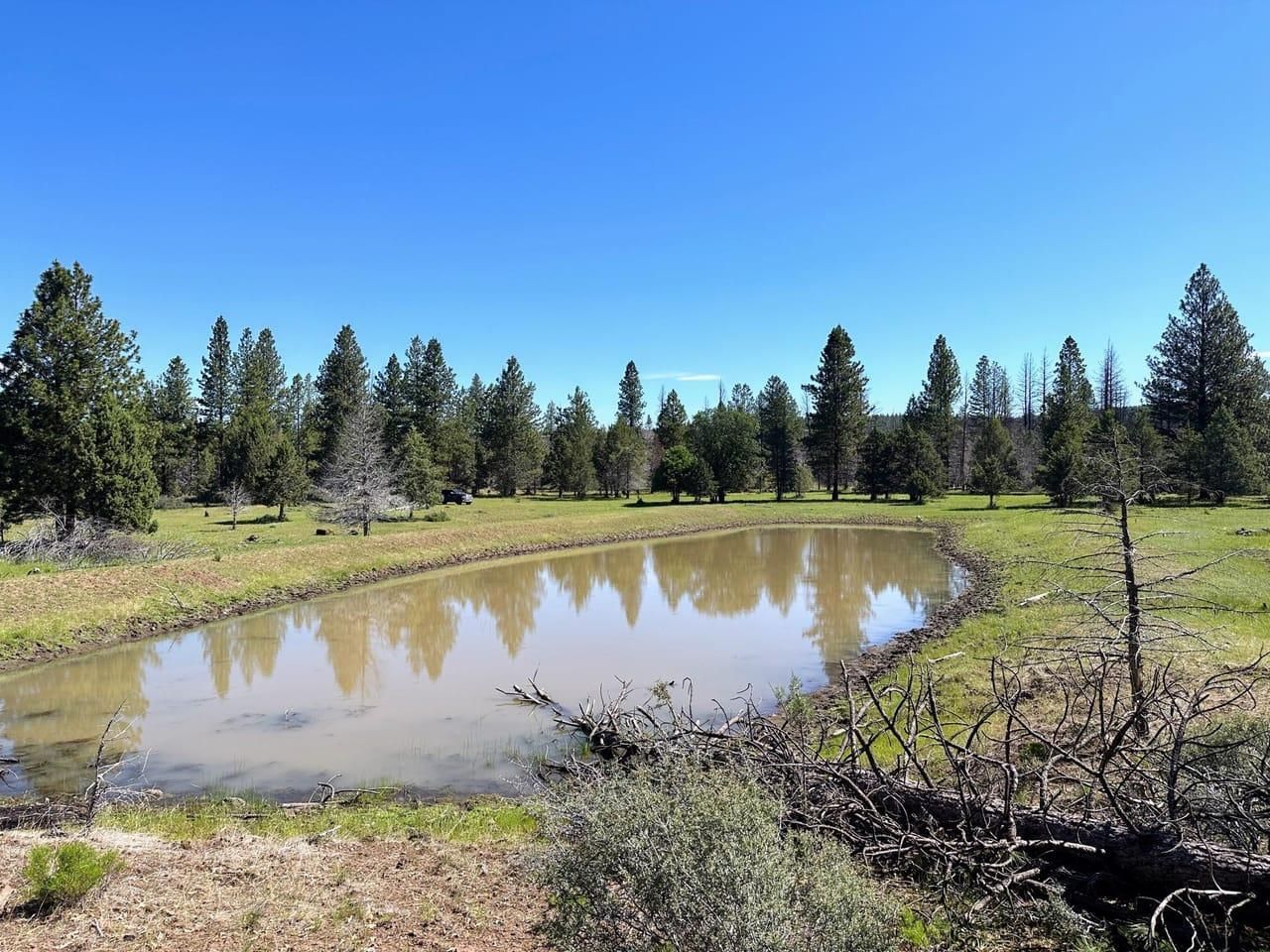 40 acres in Klamath County, Oregon