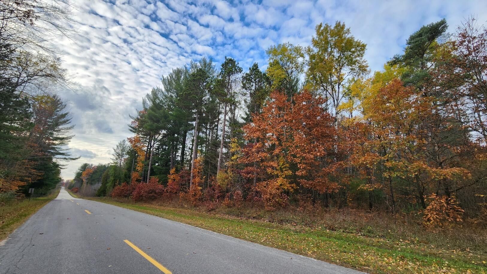 40 acres in Mason County, Michigan