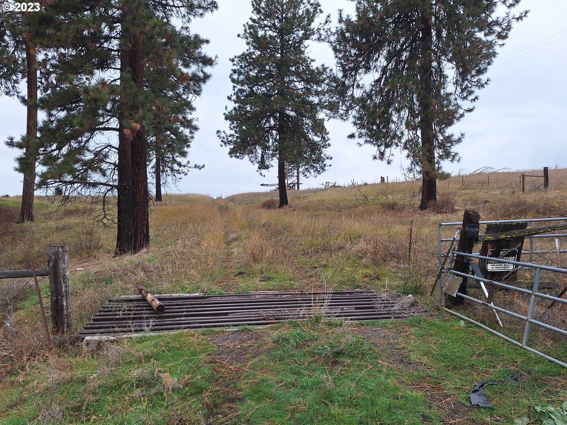 200 acres in Wallowa County, Oregon