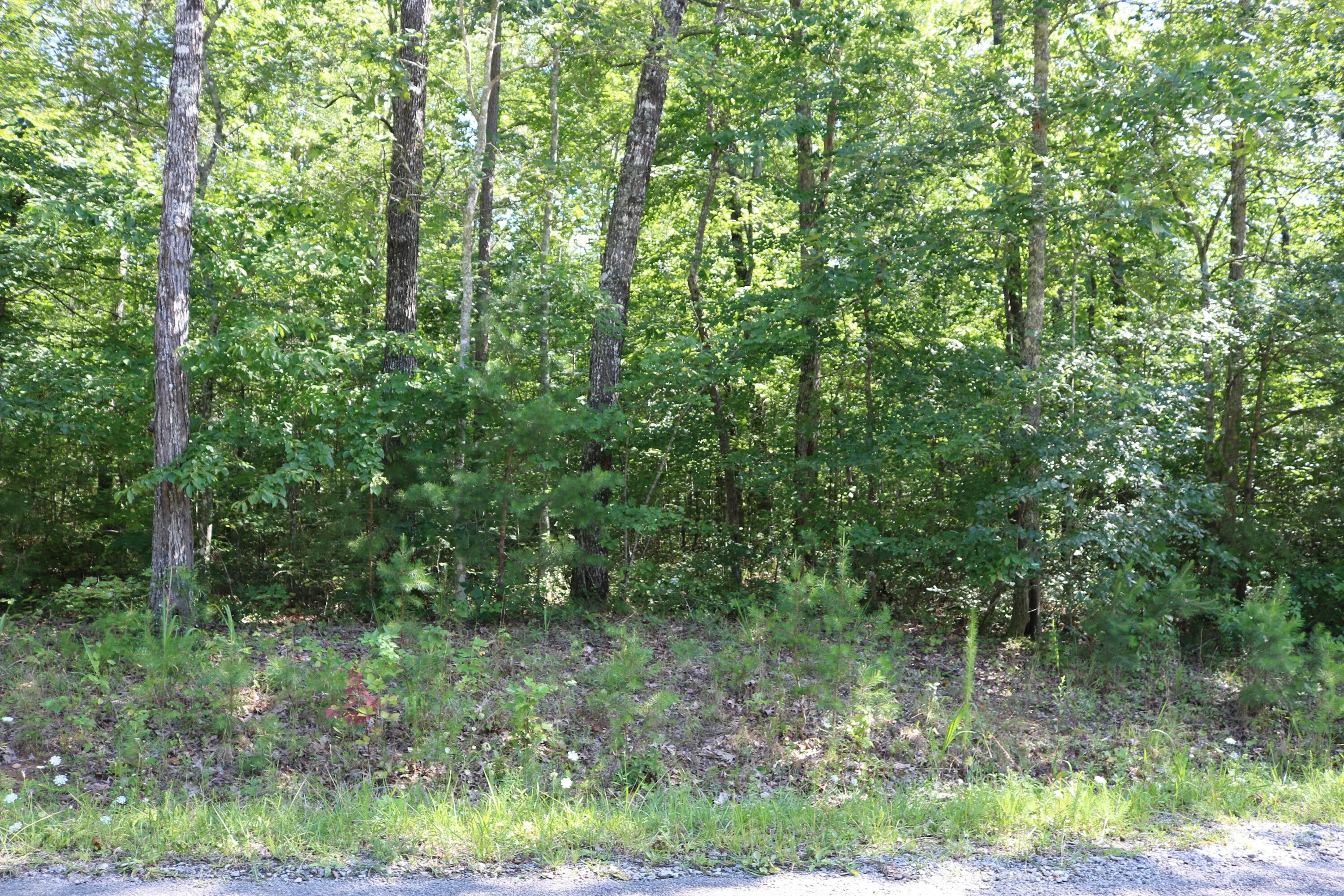 5.1 acres in Marion County, Tennessee