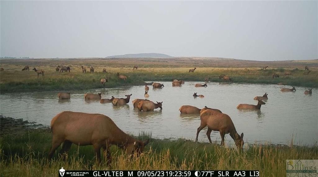 697 Elk Rdg Wy, Roy, MT 59471 MLS 342900