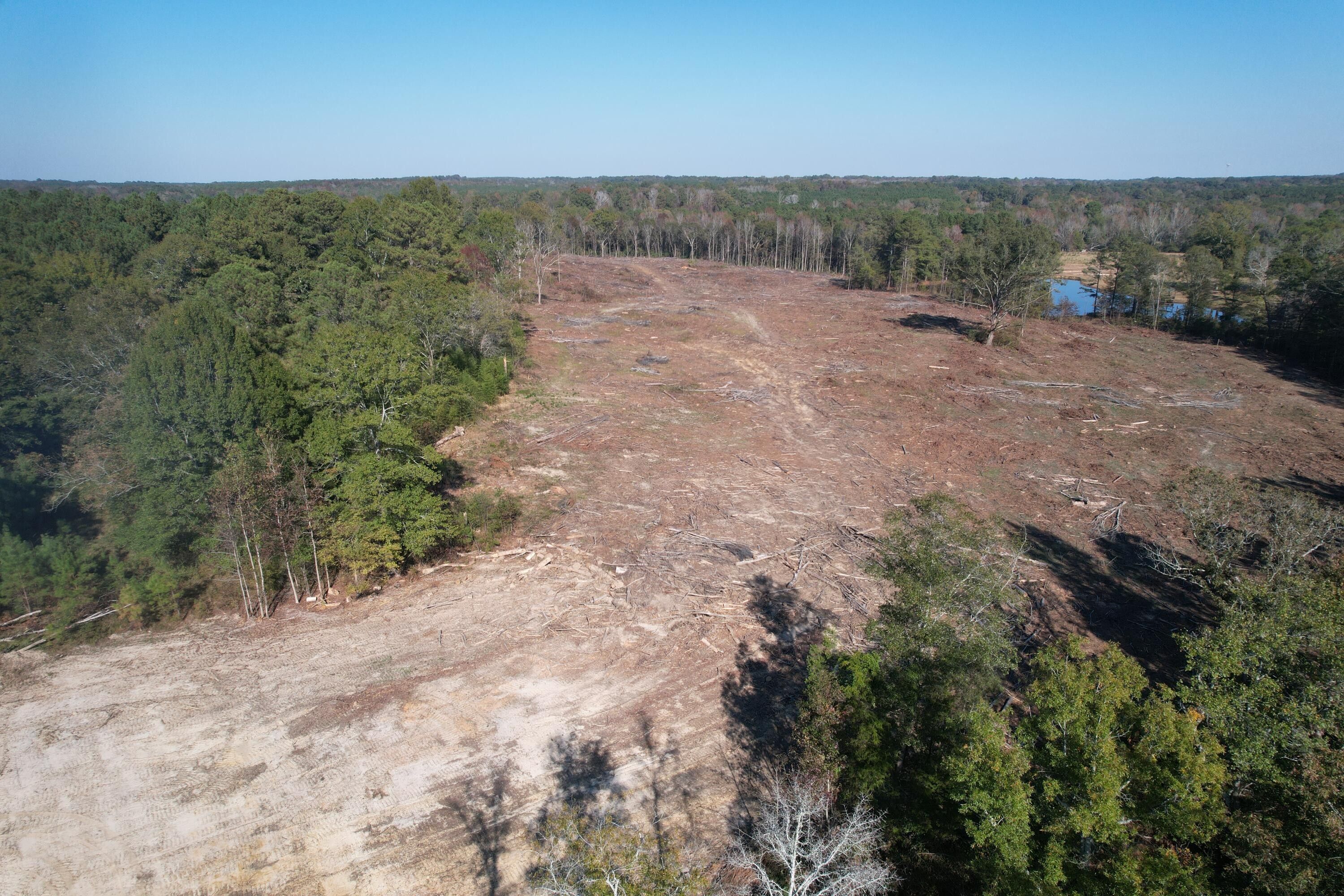 23 acres in Edgefield County, South Carolina