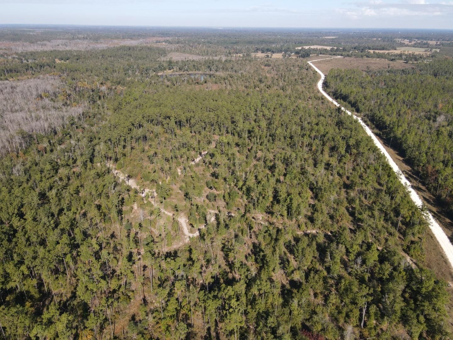 25 acres in Jackson County, Florida