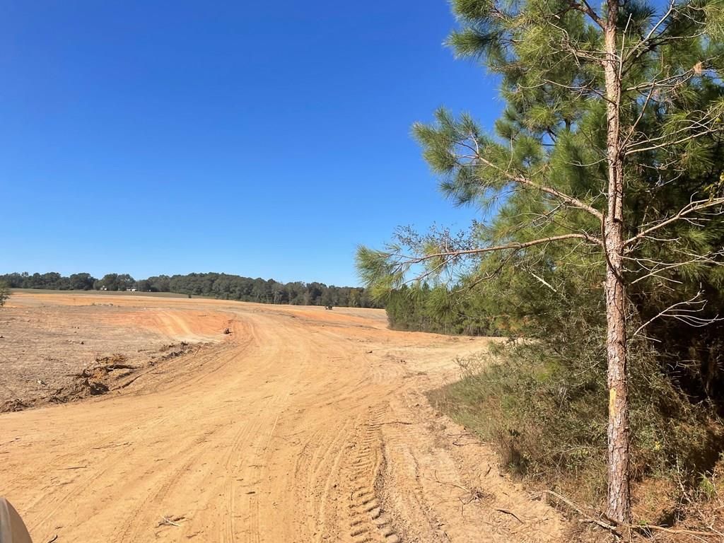 13 acres in Pike County, Alabama