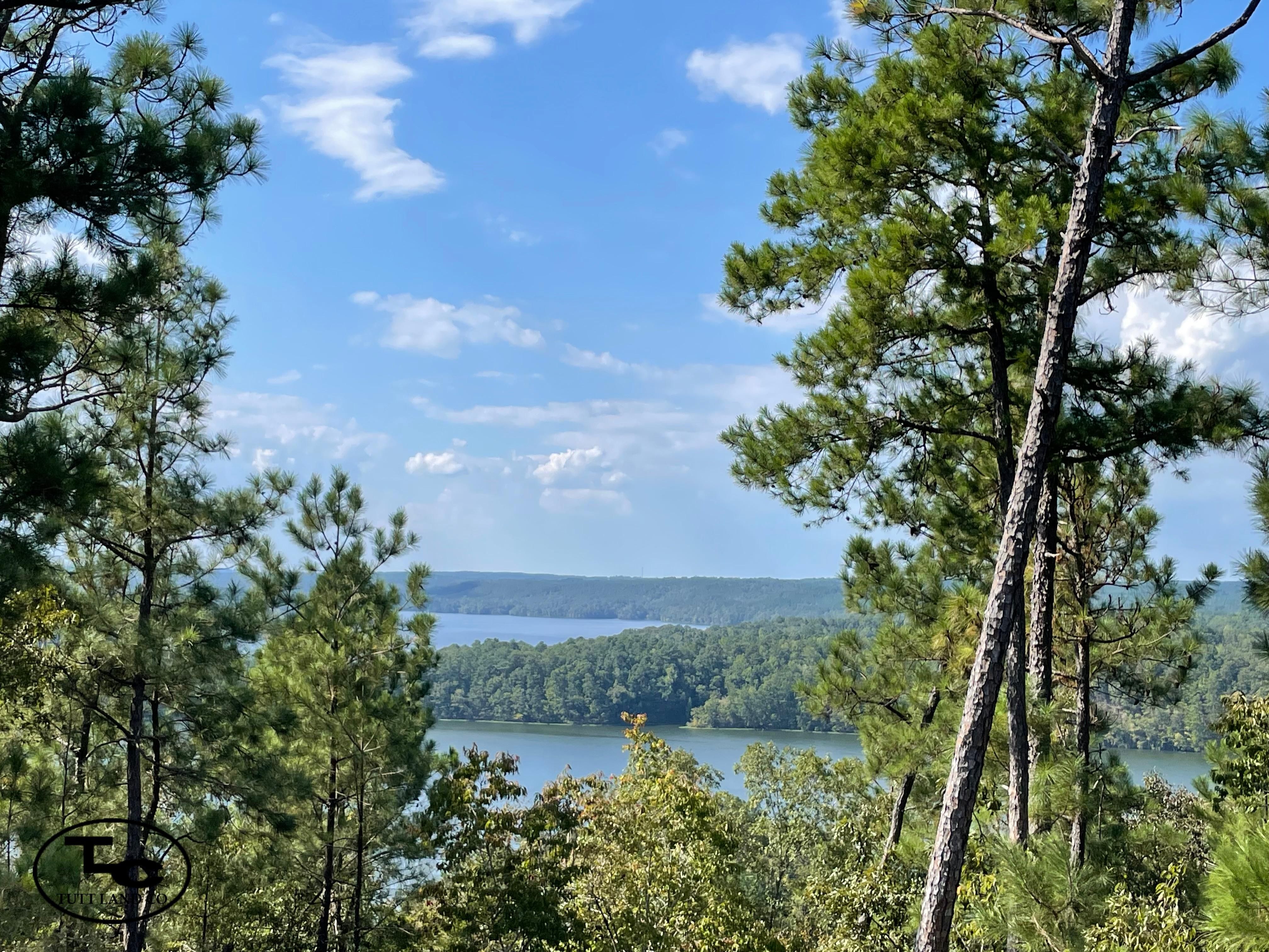 44 acres in Coosa County, Alabama