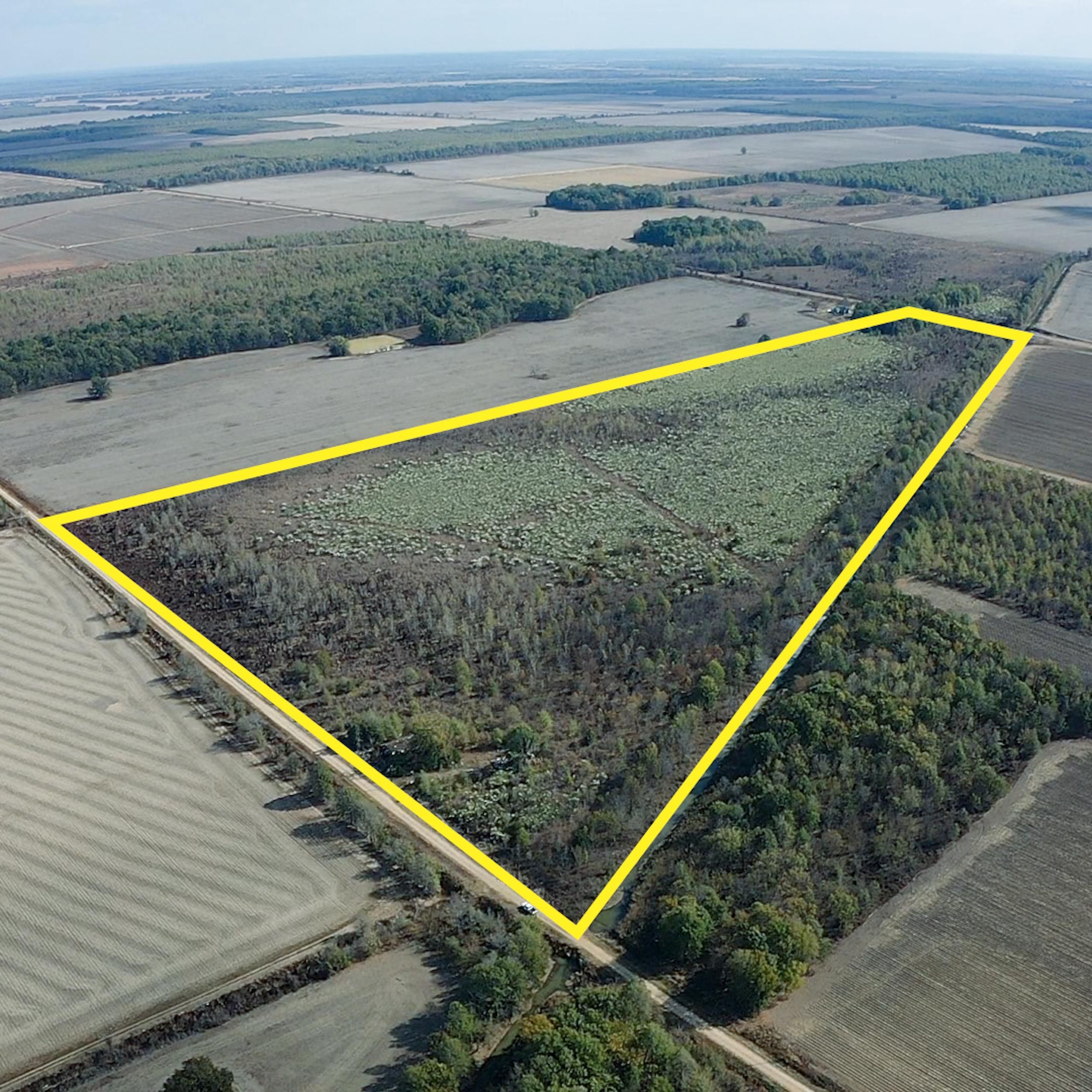 57 acres in Quitman County, Mississippi