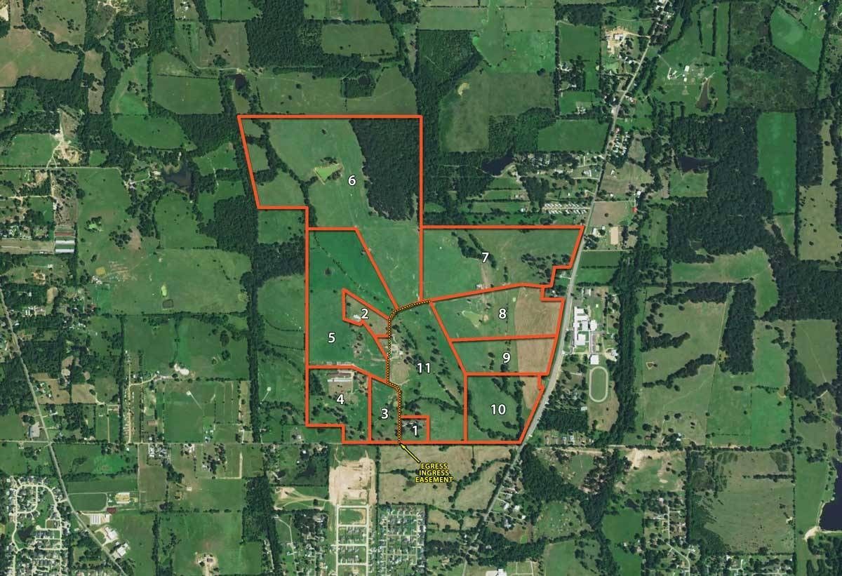 7 acres in Titus County, Texas