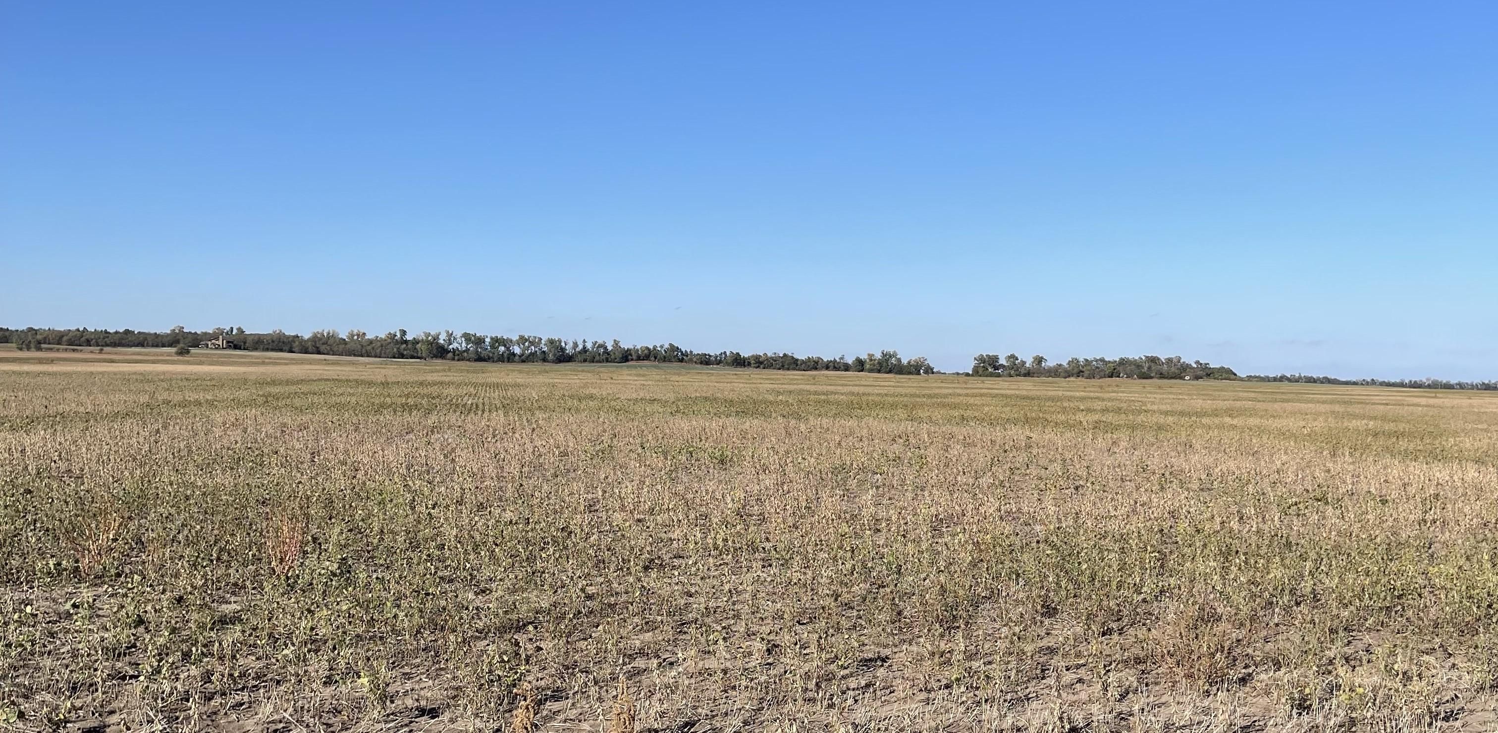 80 acres in Reno County, Kansas