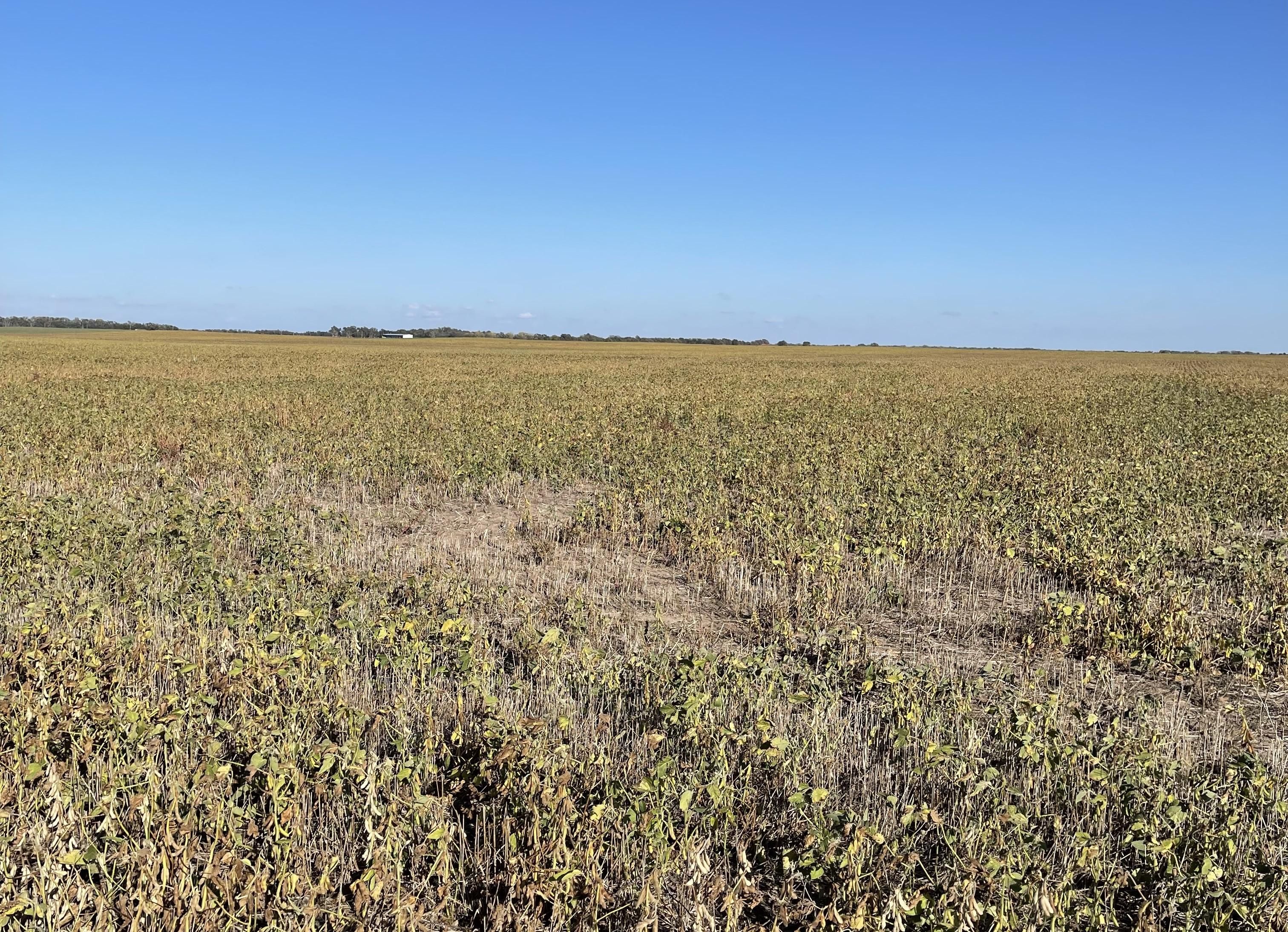 80 acres in Reno County, Kansas