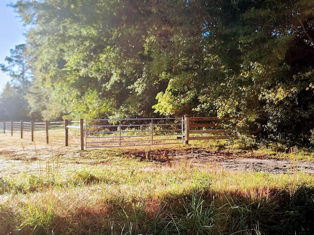 901 Old Shoals Junction Road, Donalds, SC 29638 MLS 1512450