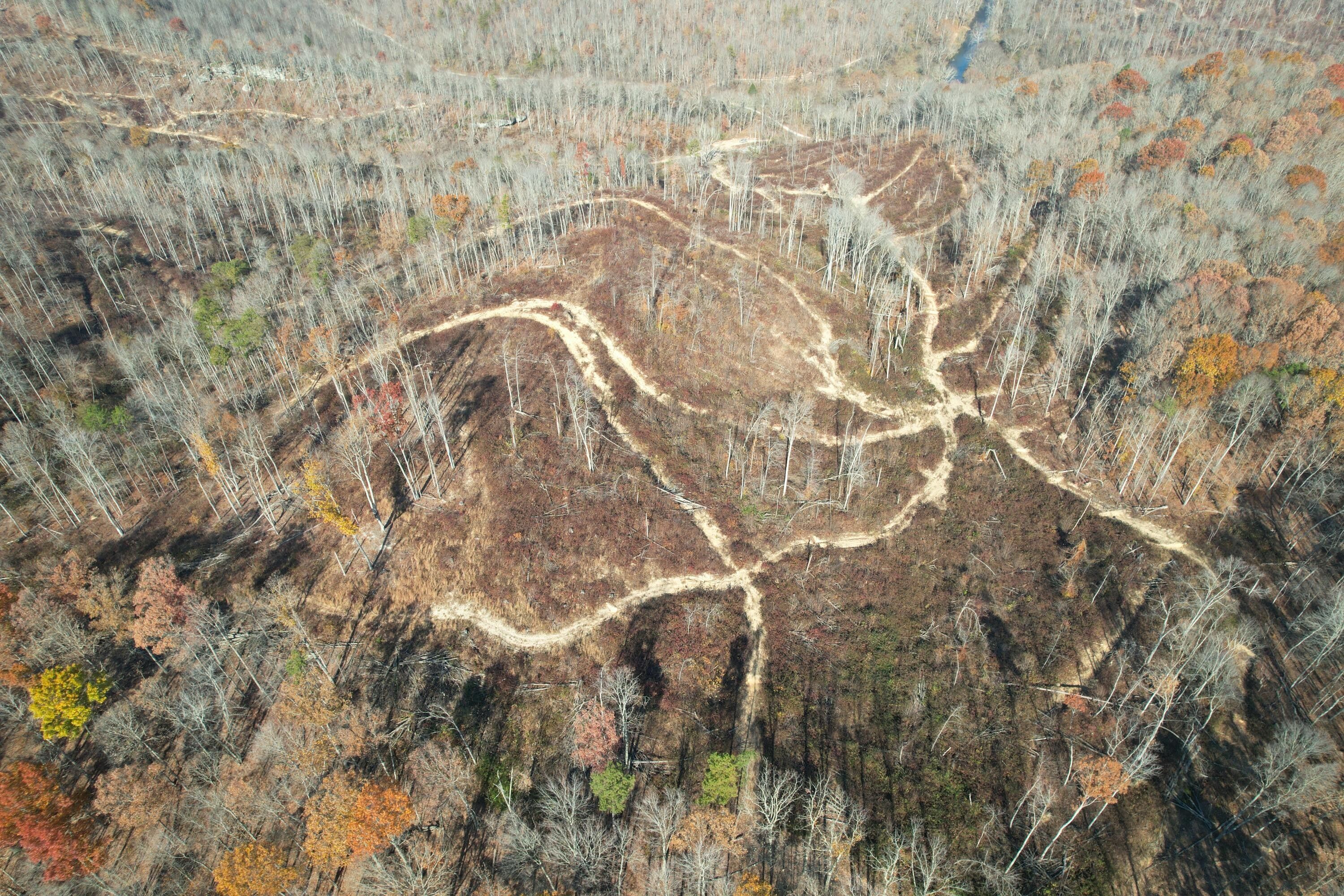 110 acres in Rockcastle County, Kentucky