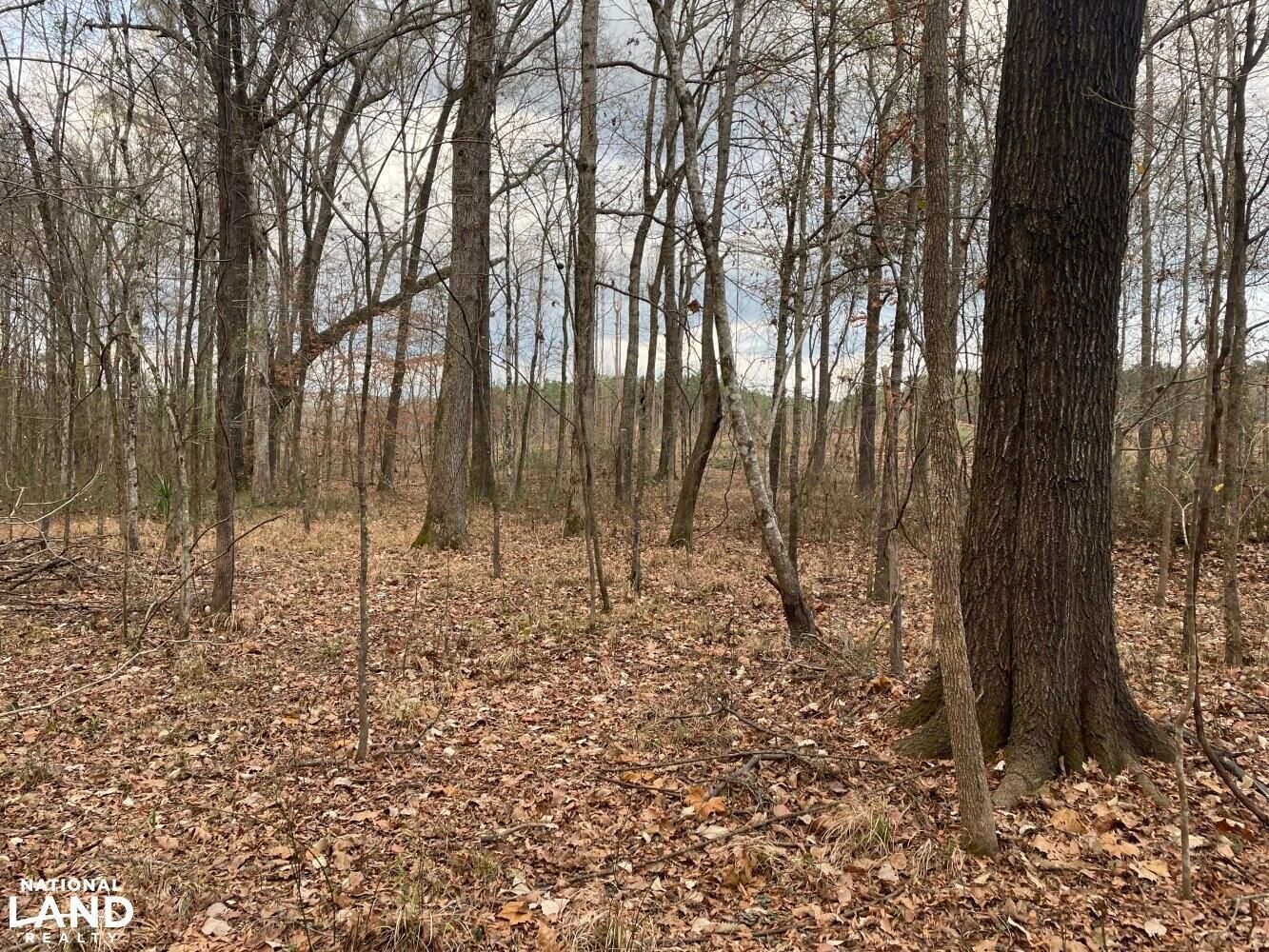 228 acres in Madison County, Mississippi
