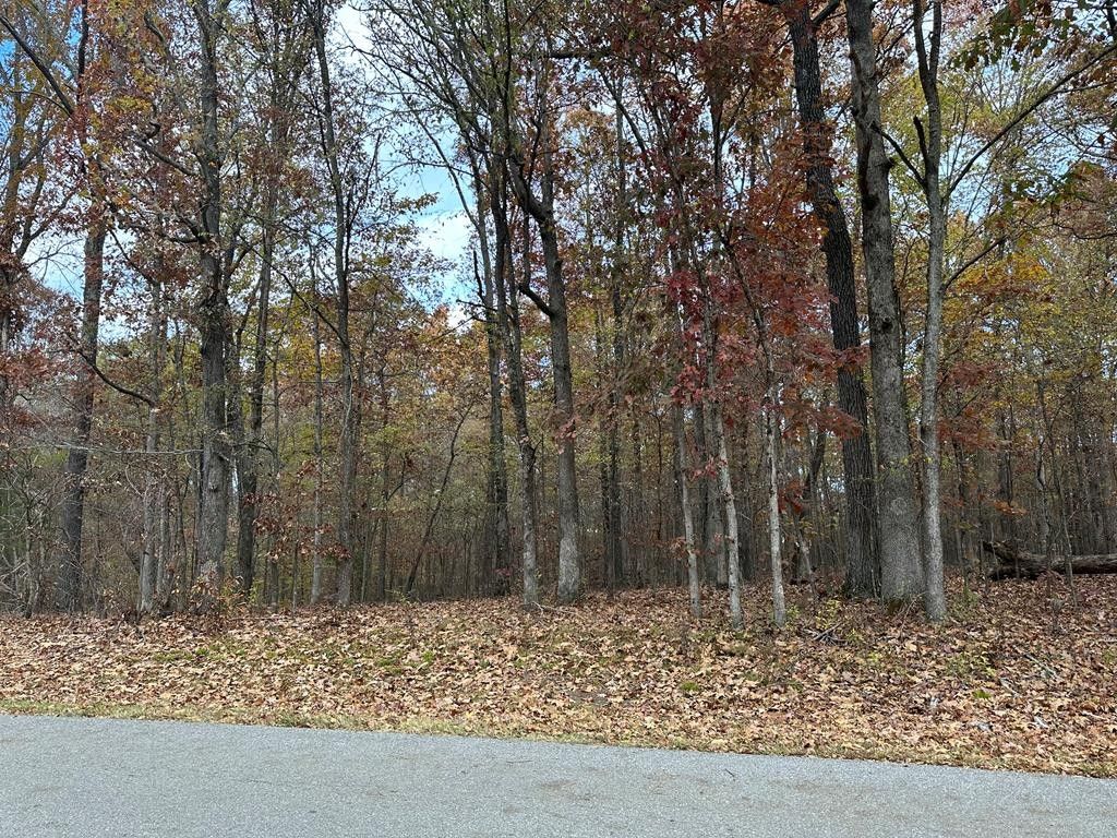 4 acres in Humphreys County, Tennessee