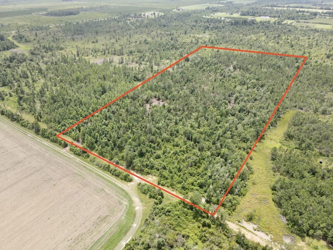 20 acres in Calhoun County, Florida