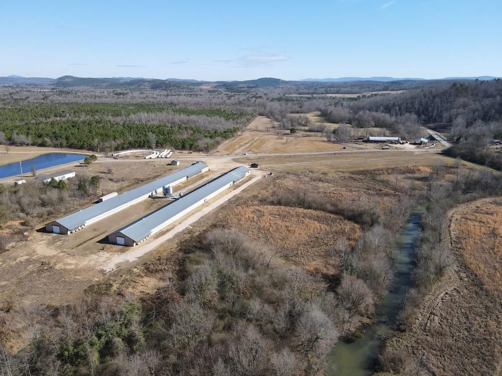 30 acres in Calhoun County, Alabama