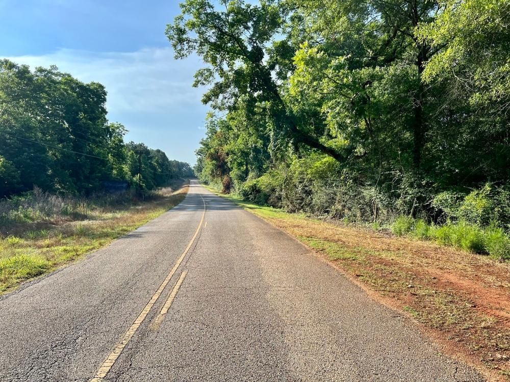 17.34 acres in Pike County, Alabama