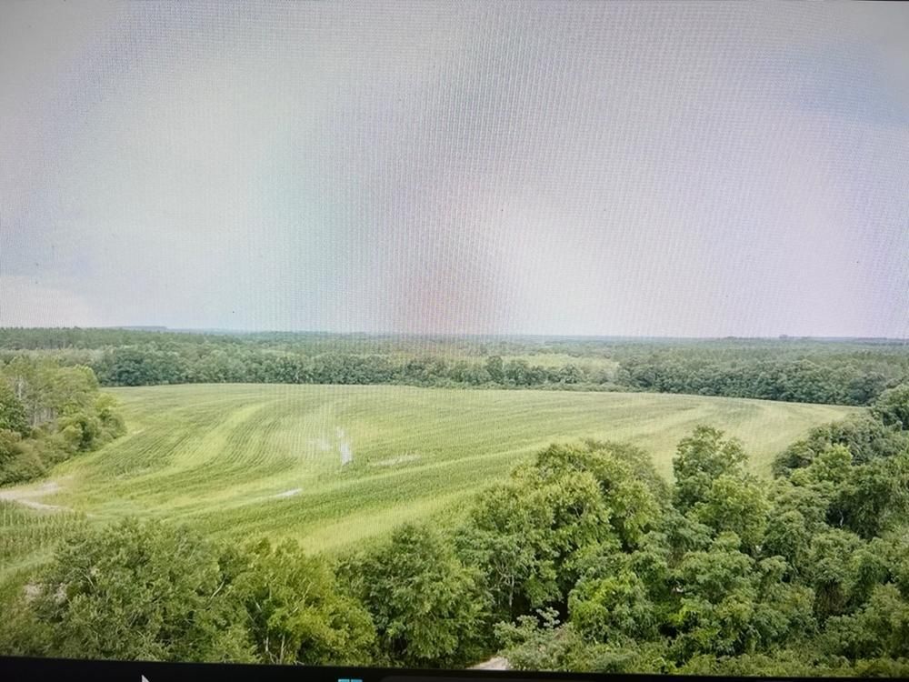 59 acres in Geneva County, Alabama