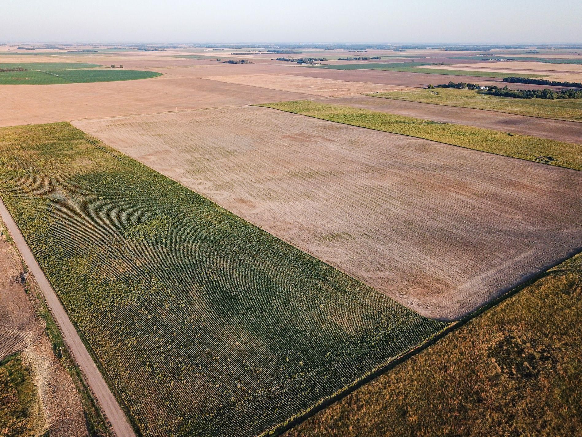 SE 60th Ave, Stafford, KS 67578