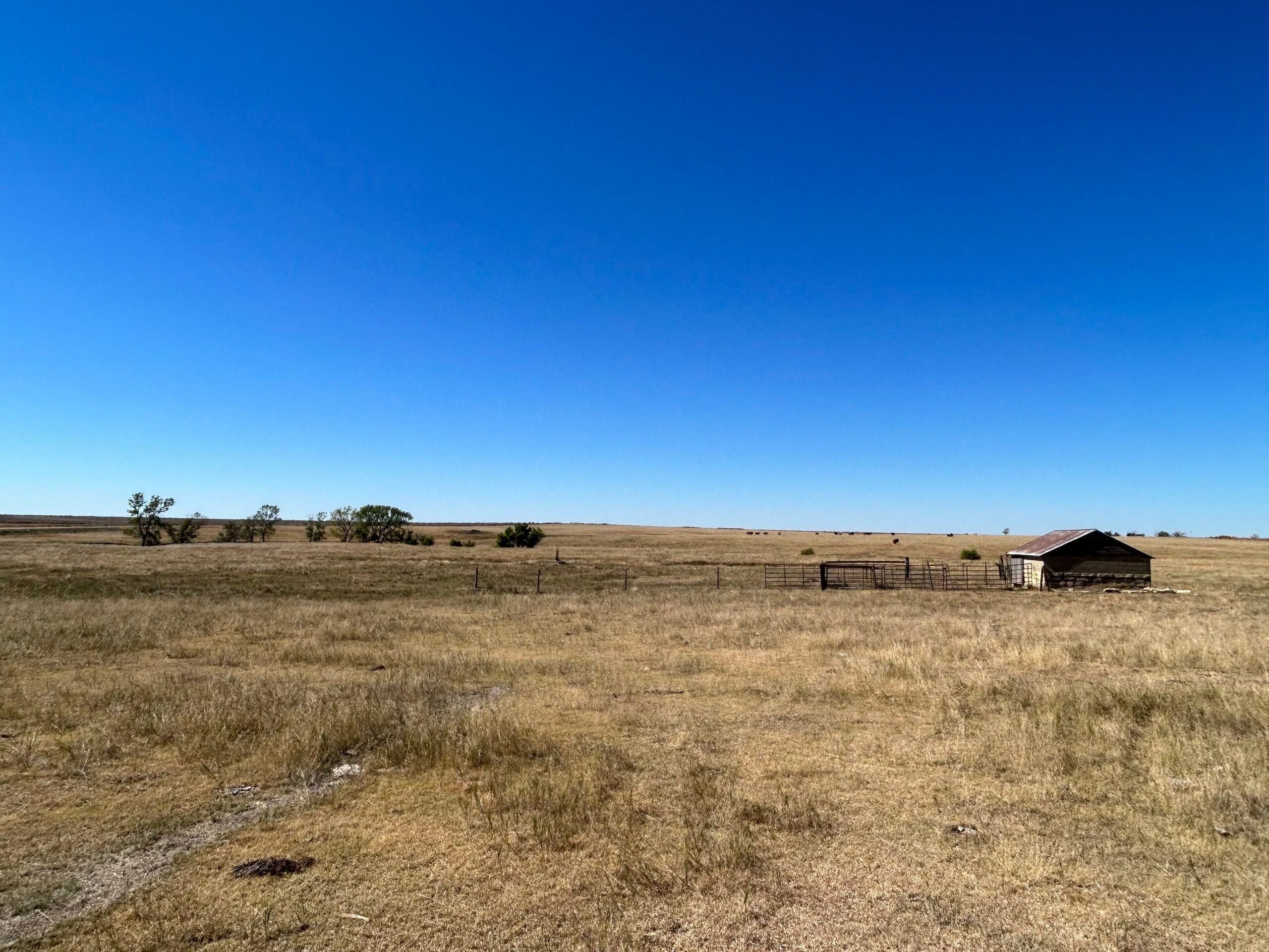 77 acres in Ellis County, Kansas