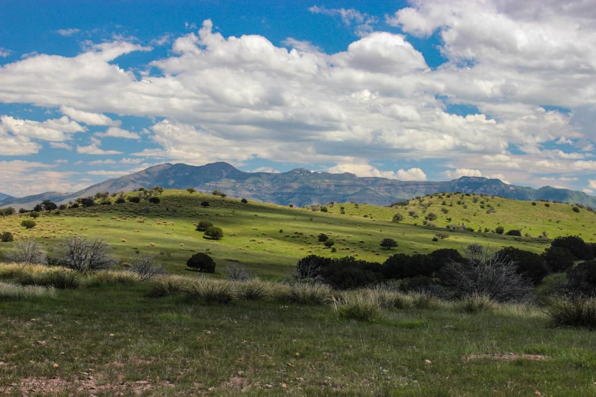 21,641 acres in Animas, NM, 88020