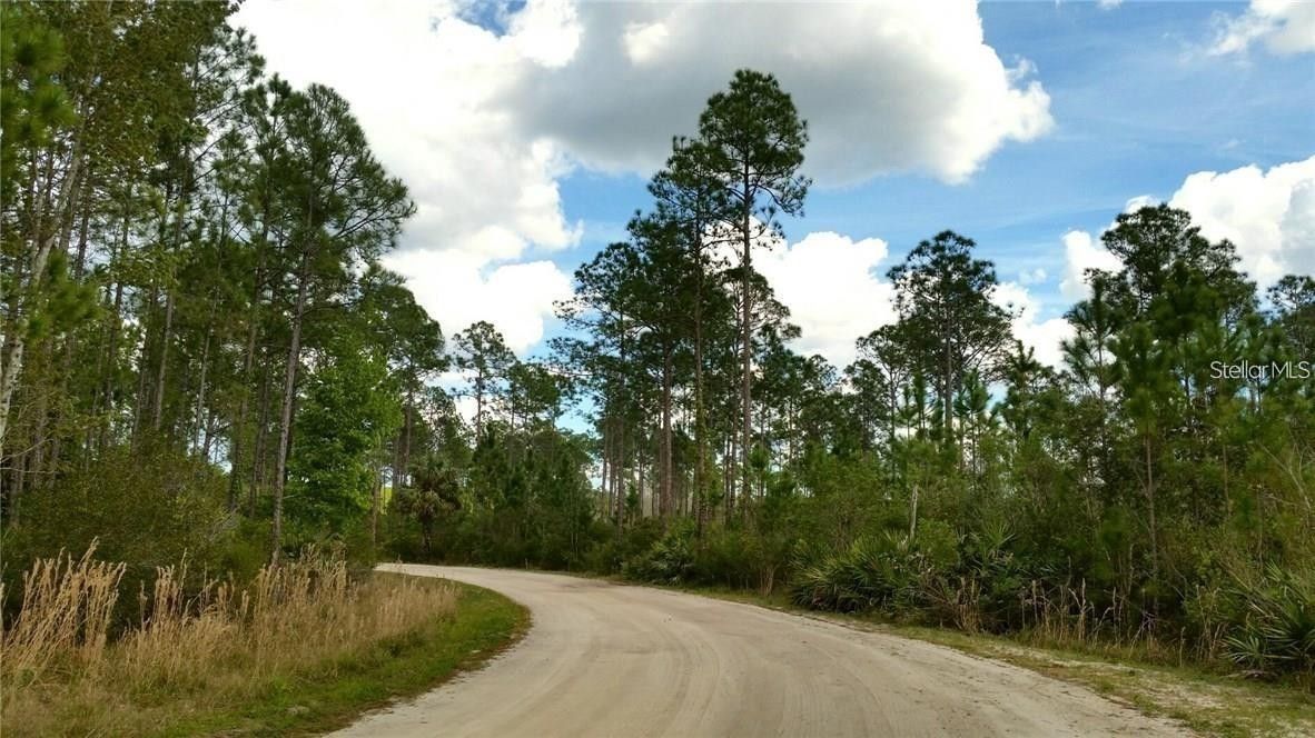 18.3 acres in Volusia County, Florida