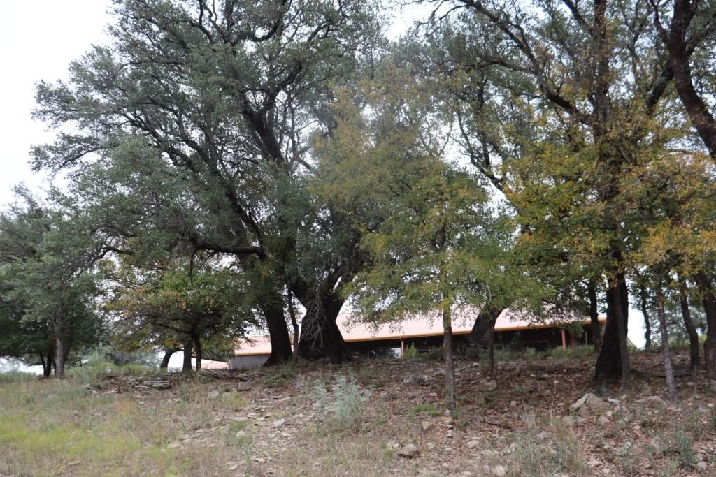 350 acres in Coleman County, Texas