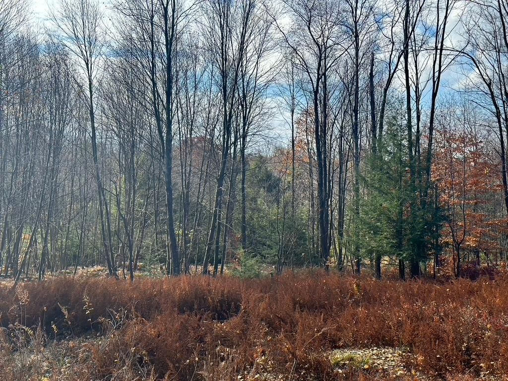 90 acres in Elk County, Pennsylvania