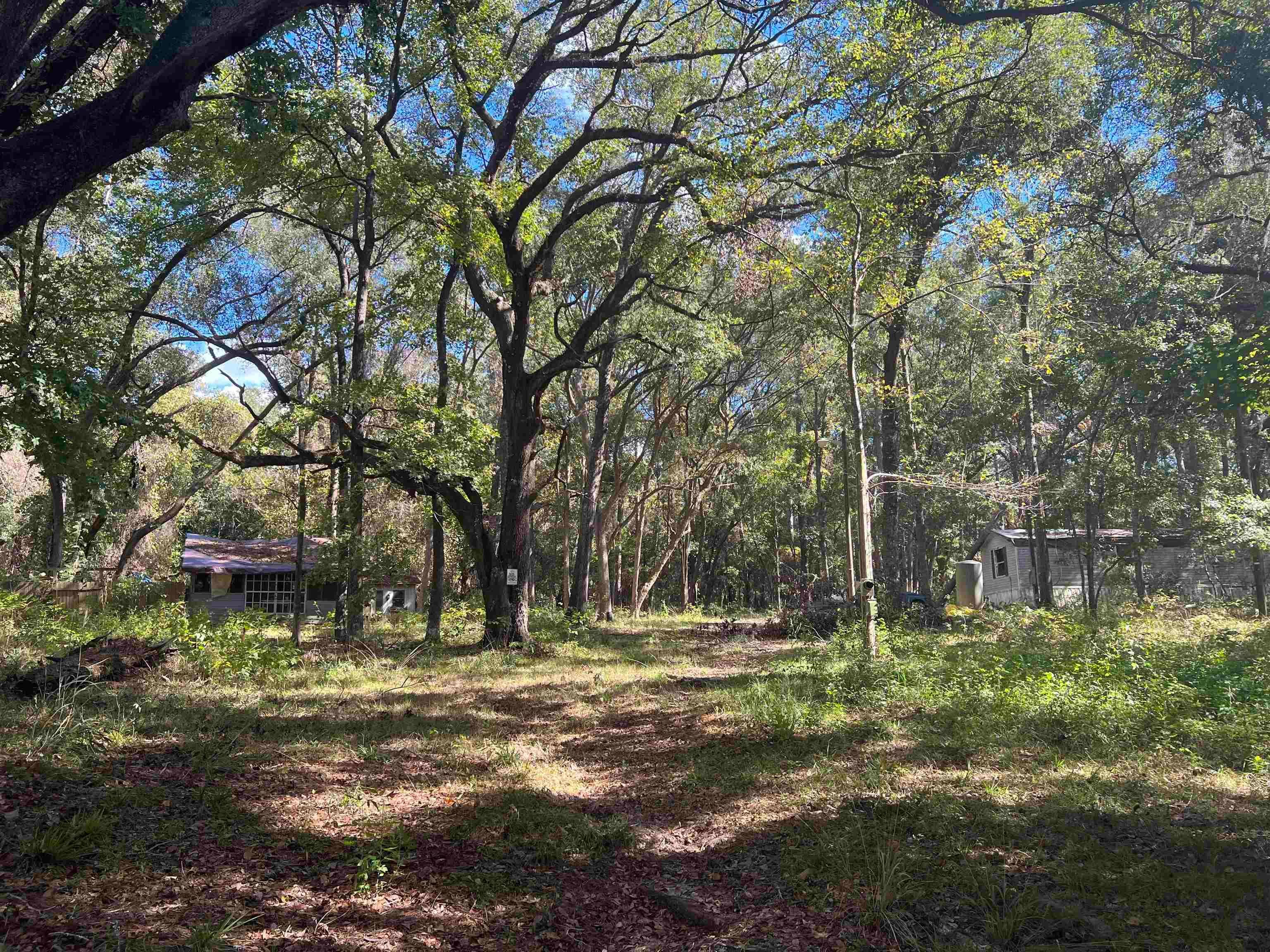5 acres in Madison County, Florida