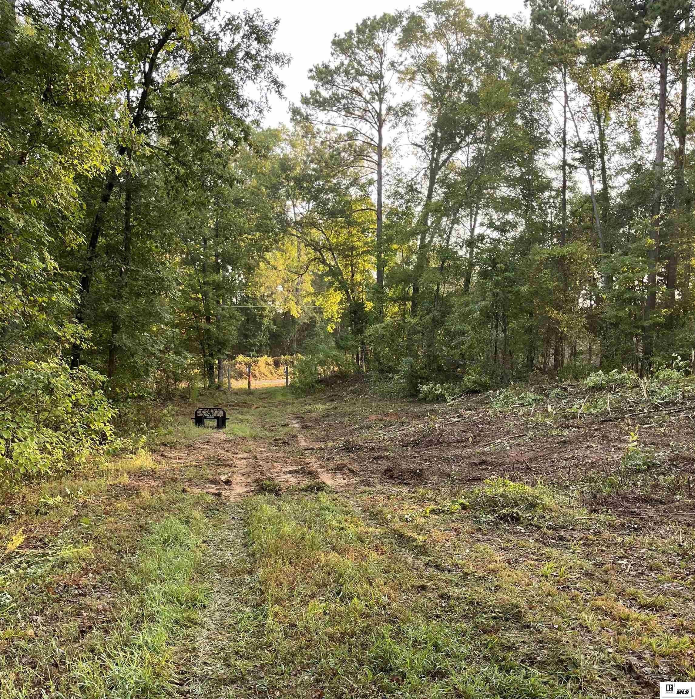 2 acres in Union Parish, Louisiana