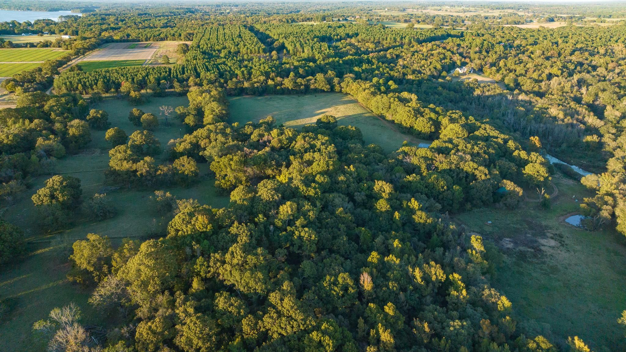 TBD Fm 3198 W, Jacksonville, TX 75766 MLS GTAR 23015324