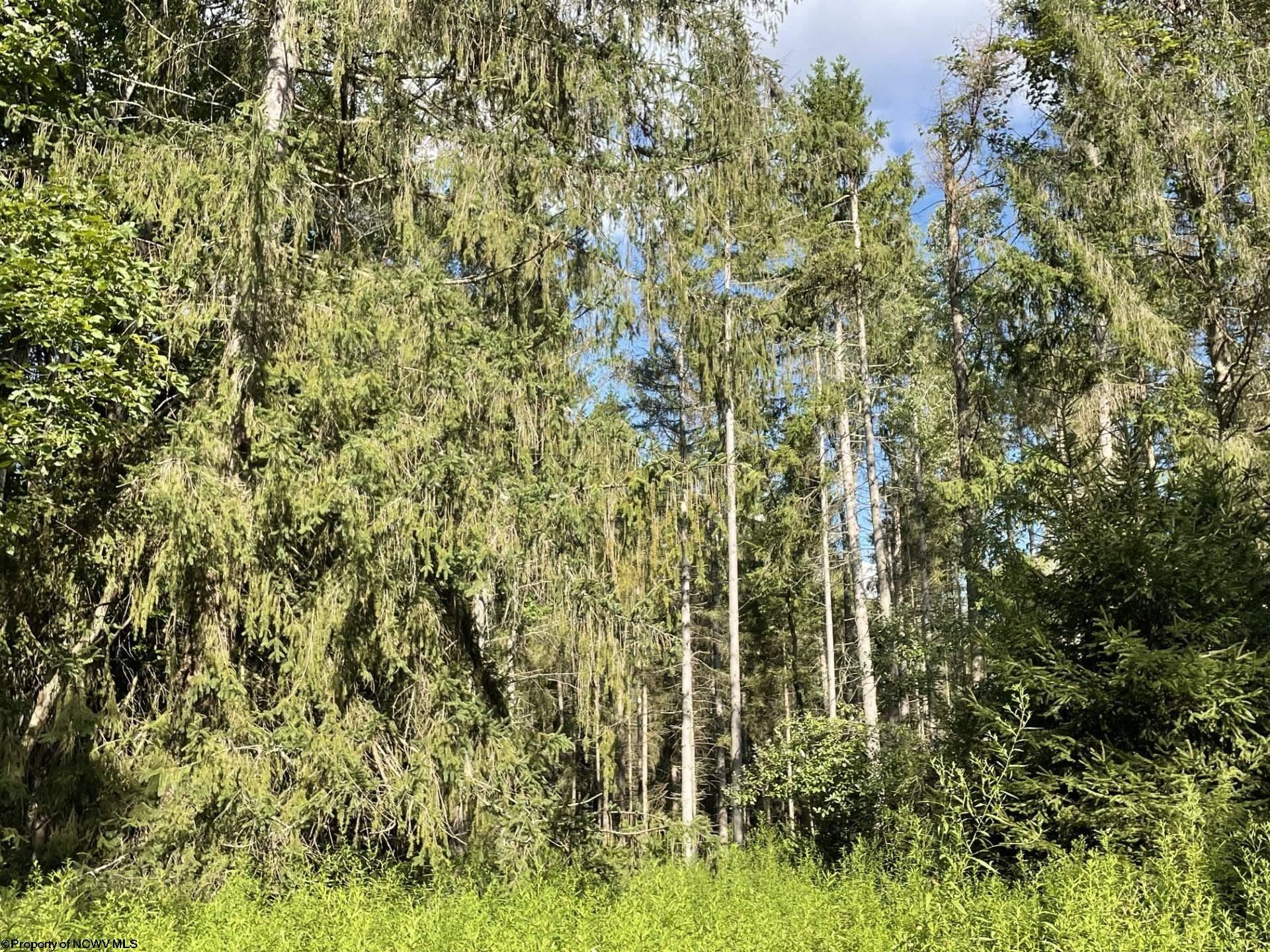 10 acres in Preston County, West Virginia