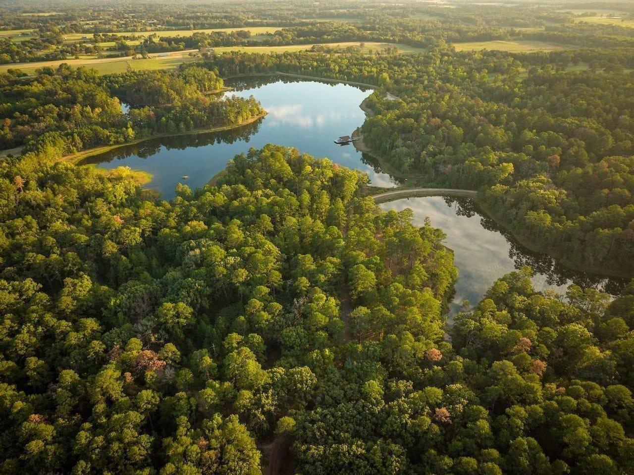 10466, Edom, TX 75778