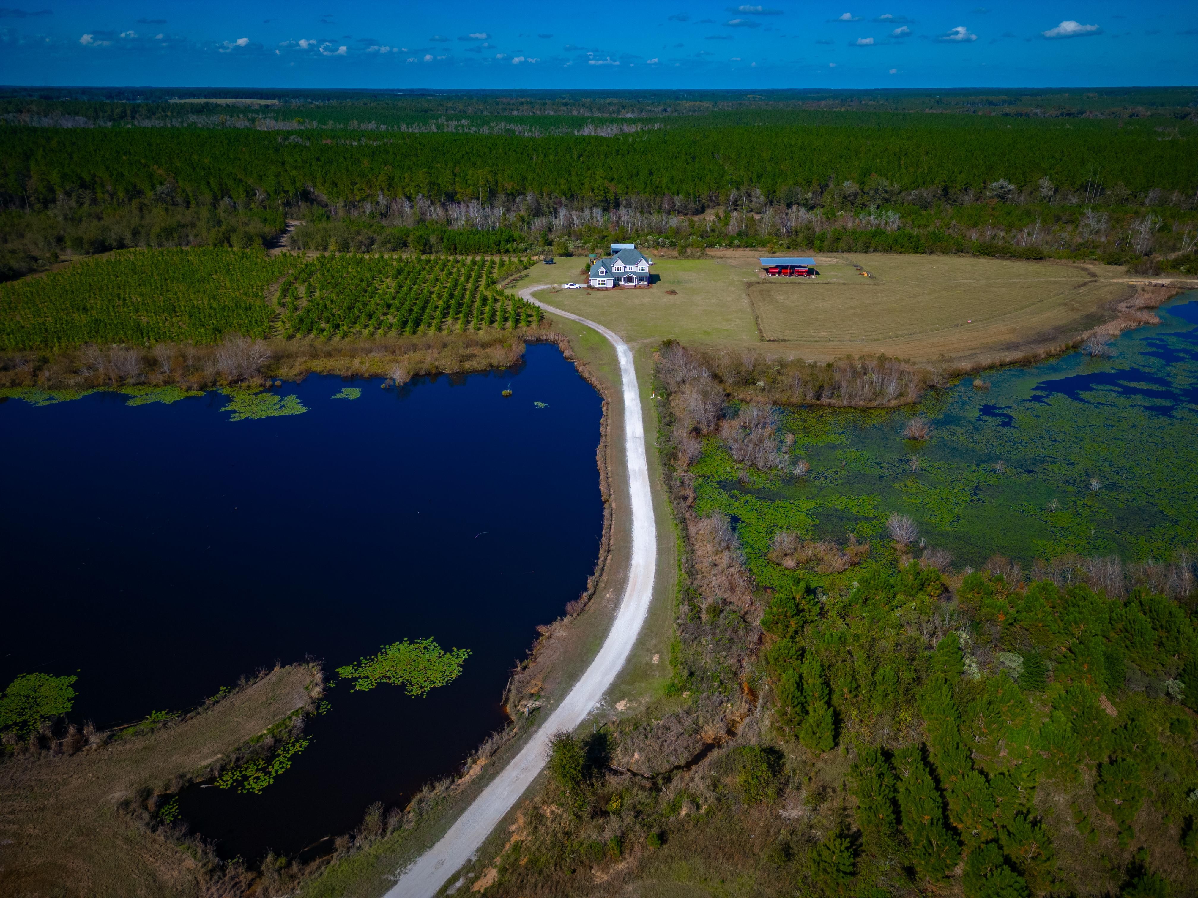 45 acres in Irwin County,