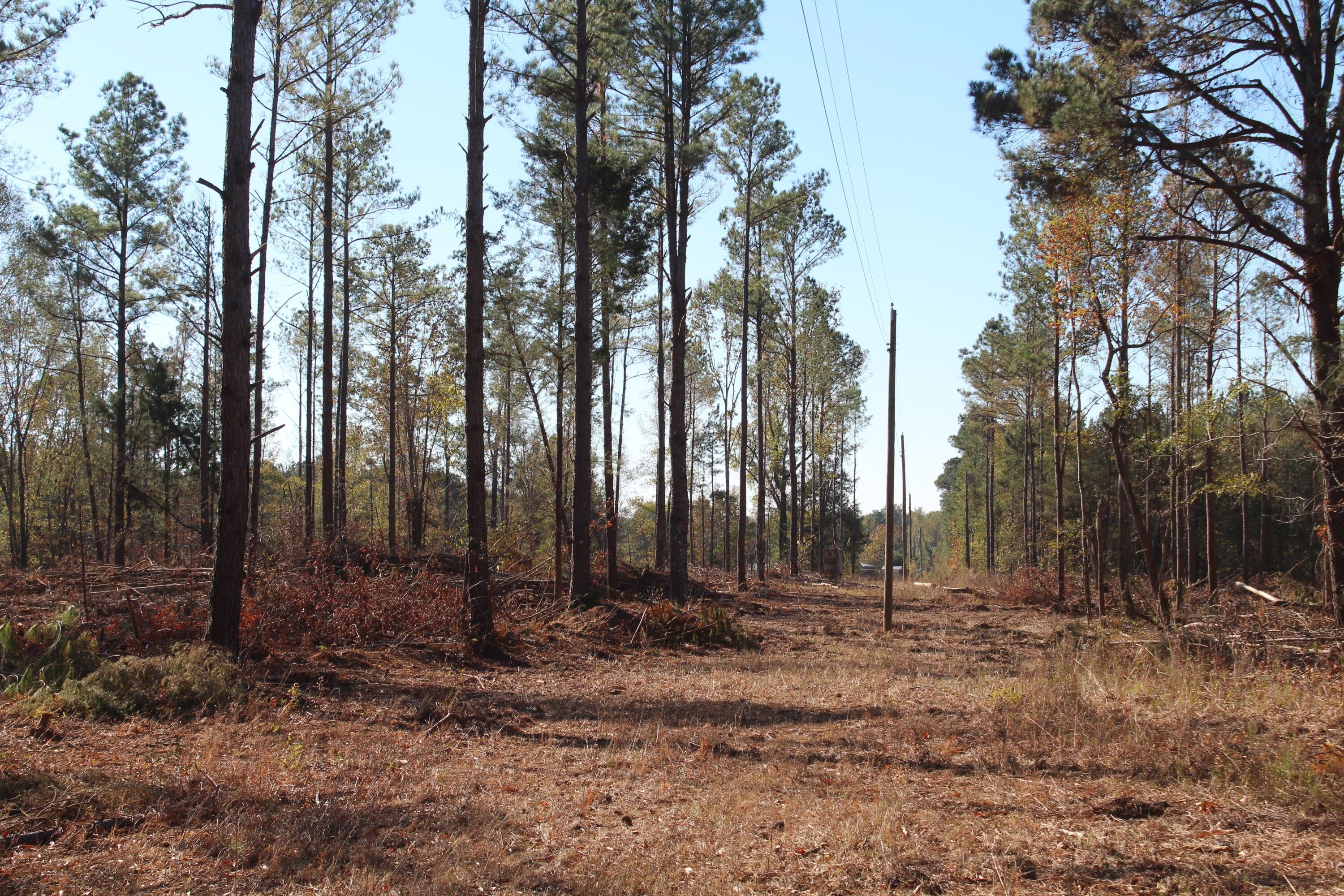 3 acres in Clay County, Mississippi