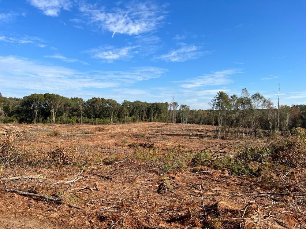 34 acres in Crenshaw County, Alabama