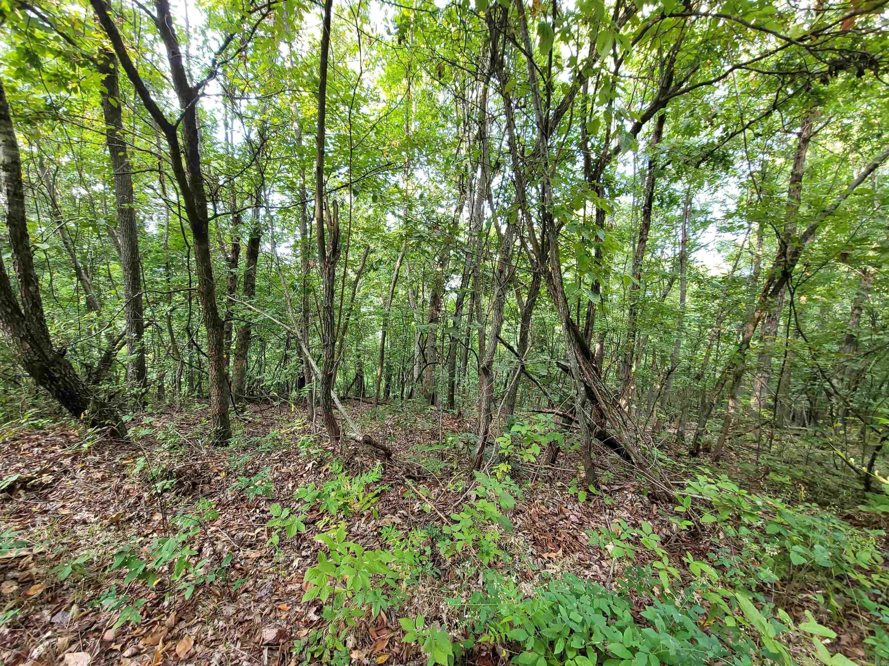 10 acres in Marion County, Arkansas