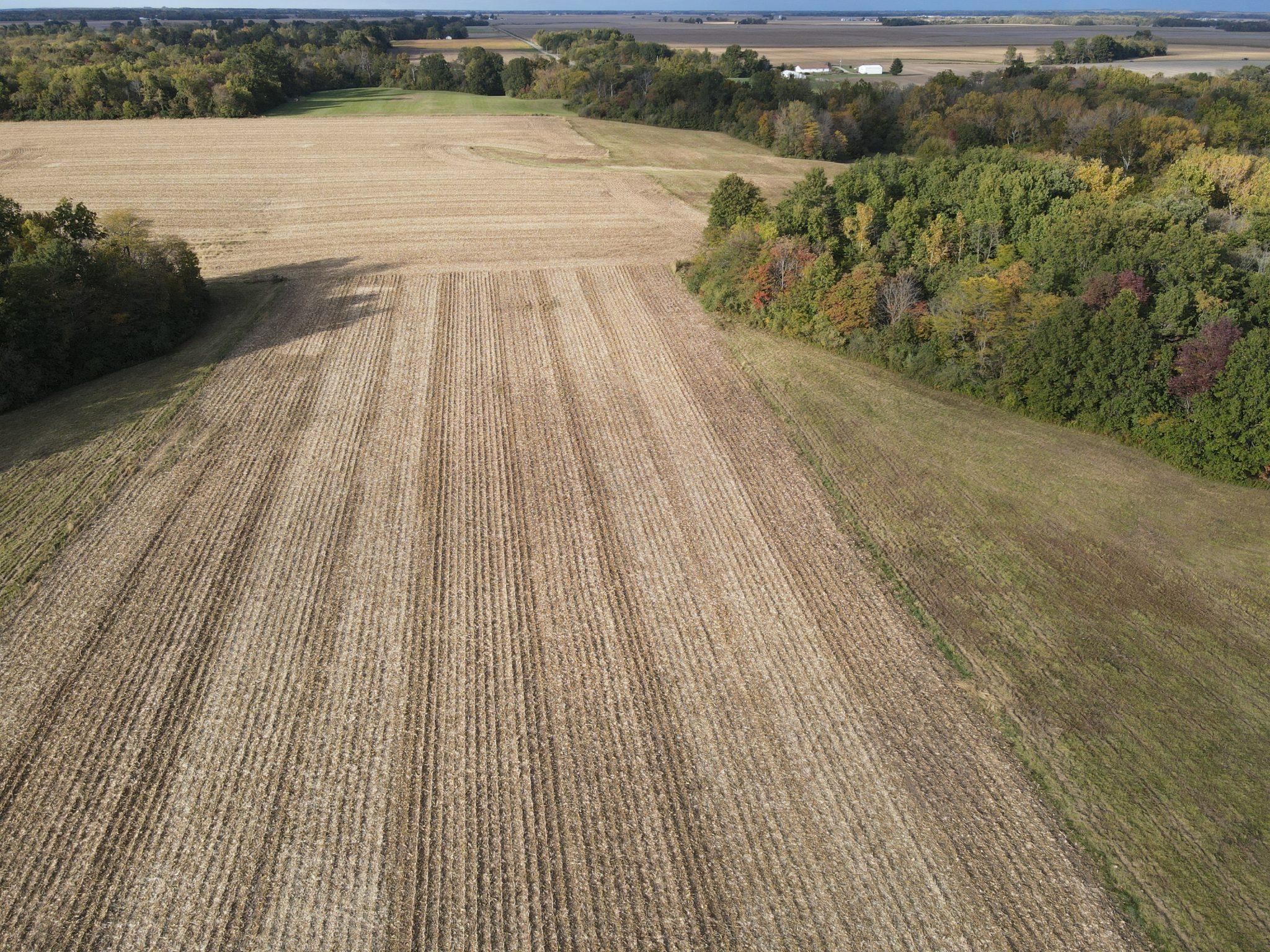 60 acres in Fayette County, Illinois