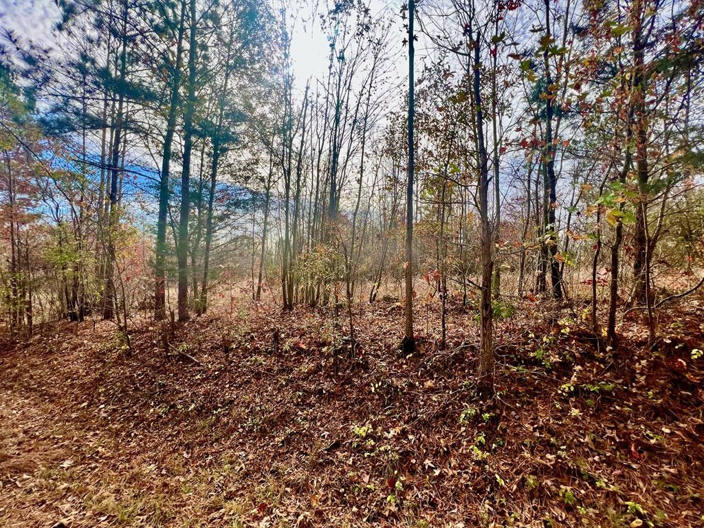 5 acres in Haralson County,