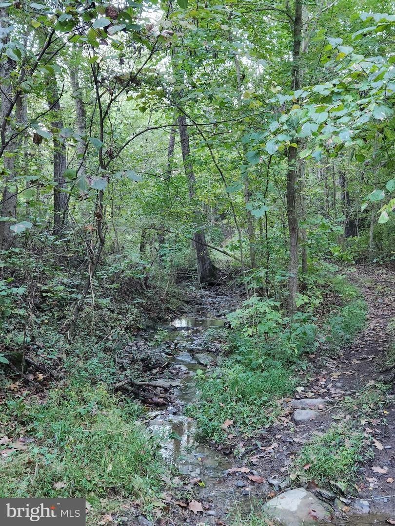 2 acres in Berkeley County, West Virginia